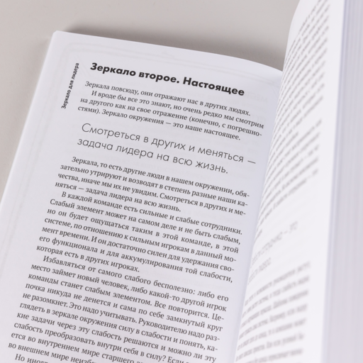 Зеркало для лидера. Меняй себя, чтобы управлять другими