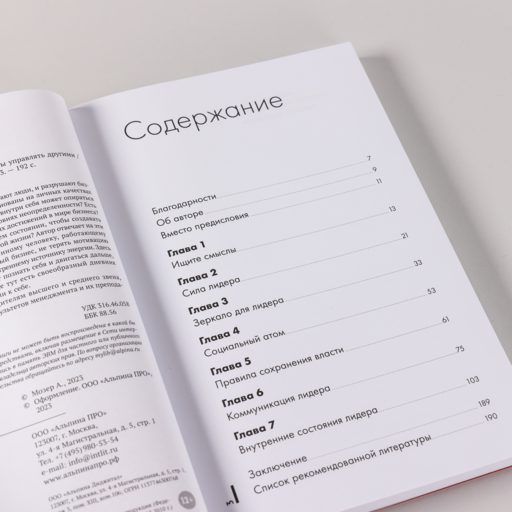 Зеркало для лидера. Меняй себя, чтобы управлять другими