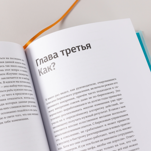 Бирюзовое управление на практике: Опыт российских компаний. 2-е издание, обновлённое и дополненное