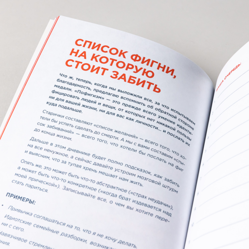 Дневник пофигиста: Тонкое искусство пофигизма на практике