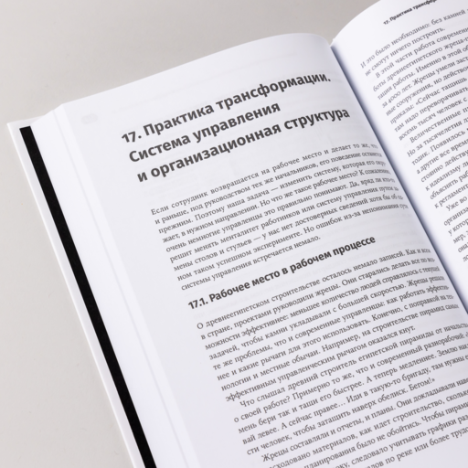 Без шаблона. Как изменить организацию, сохранив силы, деньги и время