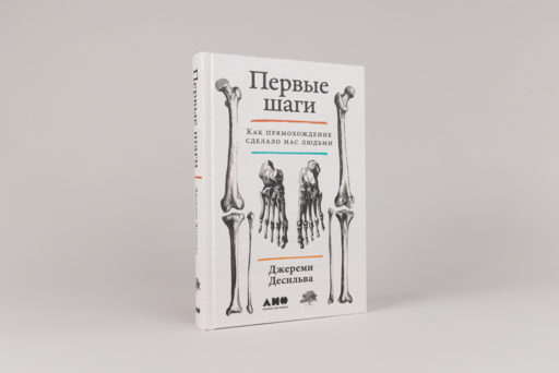 Первые шаги: Как прямохождение сделало нас людьми