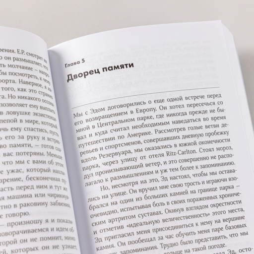 Эйнштейн гуляет по Луне: Наука и искусство запоминания