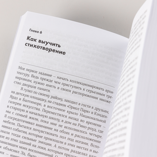 Эйнштейн гуляет по Луне: Наука и искусство запоминания