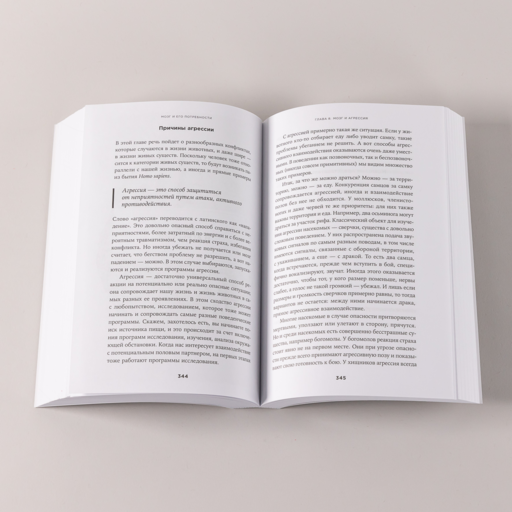 Мозг и его потребности: От питания до признания