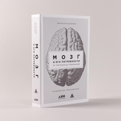 Мозг и его потребности: От питания до признания