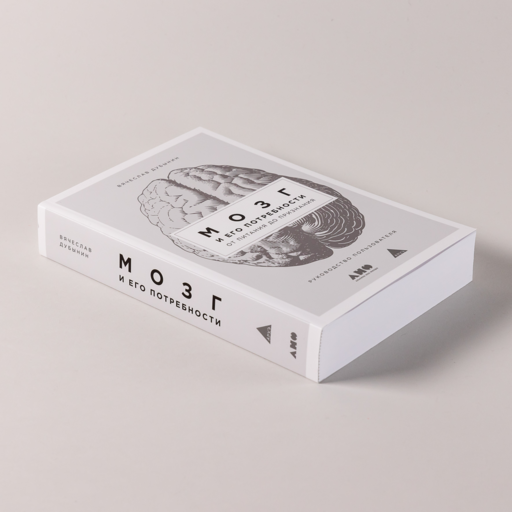 Мозг и его потребности: От питания до признания