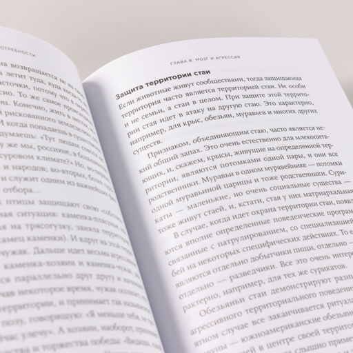 Мозг и его потребности: От питания до признания