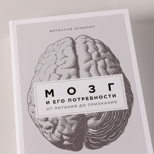 Мозг и его потребности: От питания до признания