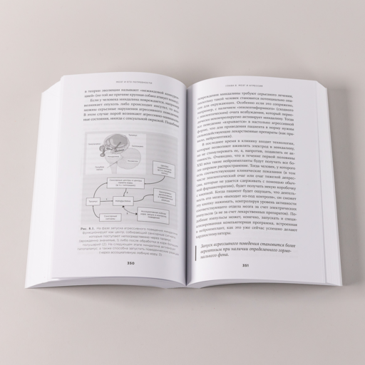 Мозг и его потребности: От питания до признания