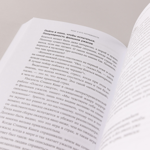 Мозг и его потребности: От питания до признания