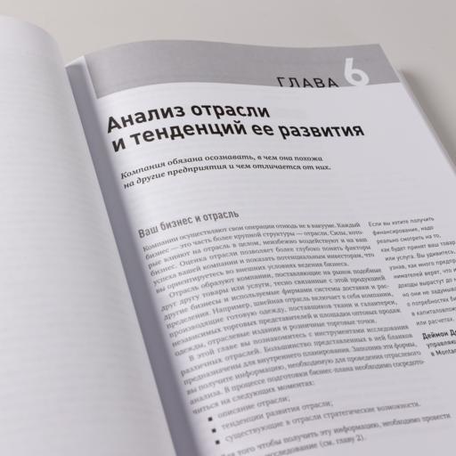 Бизнес-план на 100%: Стратегия и тактика эффективного бизнеса