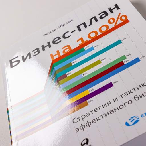 Бизнес-план на 100%: Стратегия и тактика эффективного бизнеса