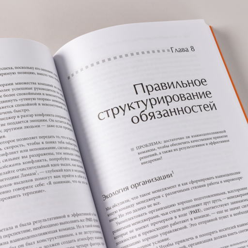 Идеальный руководитель: Почему им нельзя стать и что из этого следует