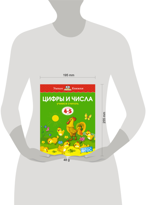 Цифры и числа (4-5 лет) (нов.обл.)