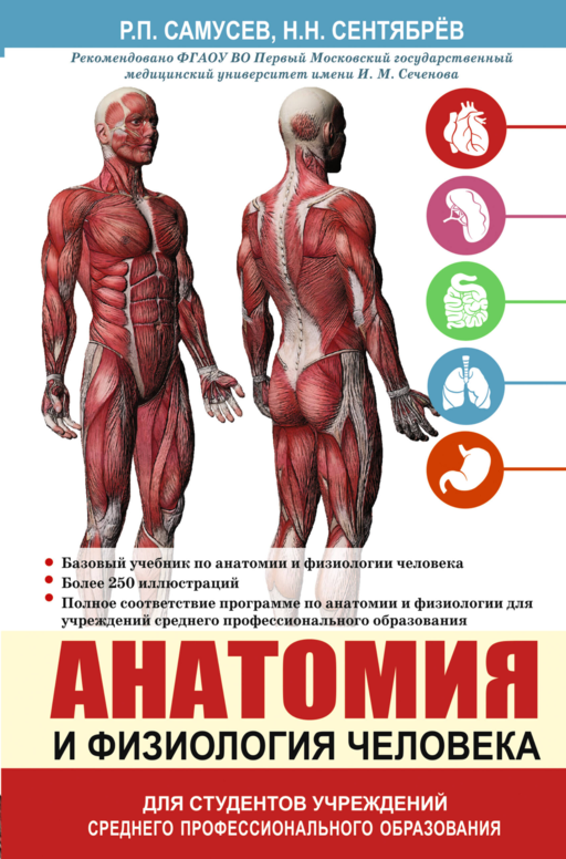 Анатомия и физиология человека. Учебное пособие для студентов учреждений среднего профессионального образования