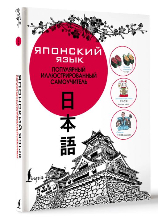 Японский язык. Популярный иллюстрированный самоучитель