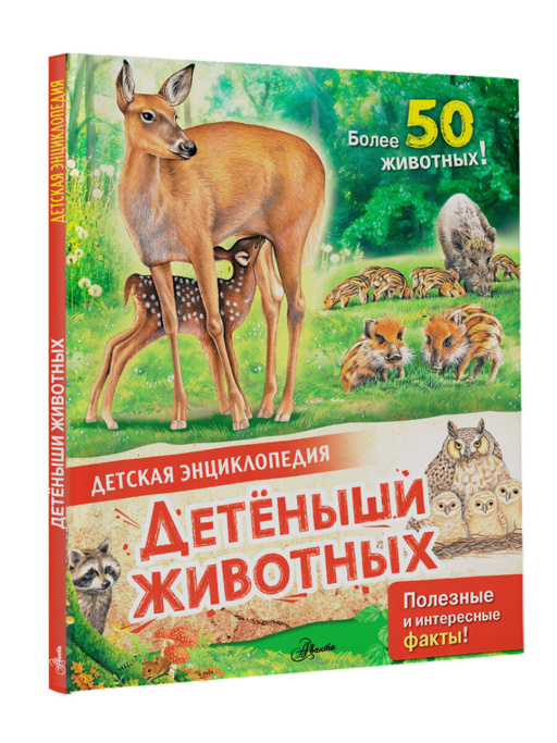 Детеныши животных
