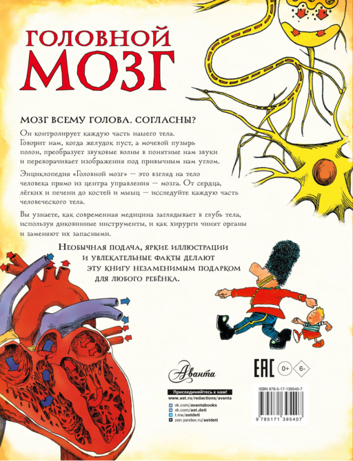 Головной мозг