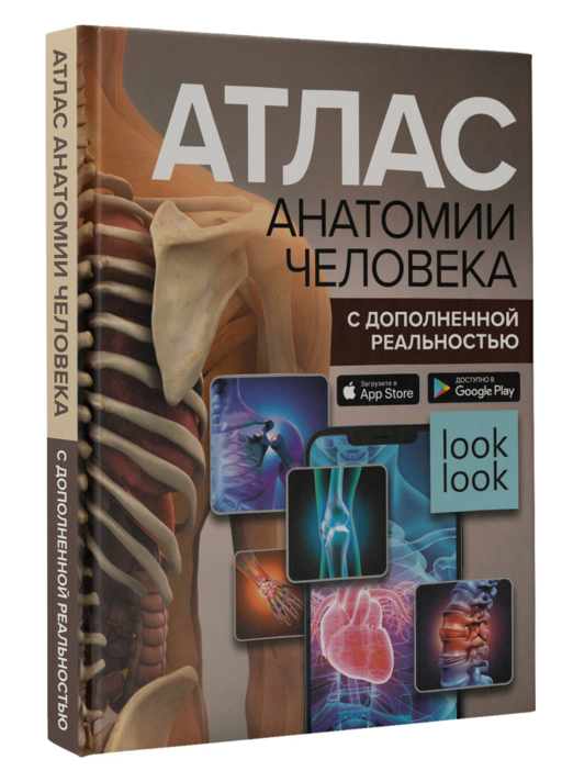Атлас анатомии человека с дополненной реальностью