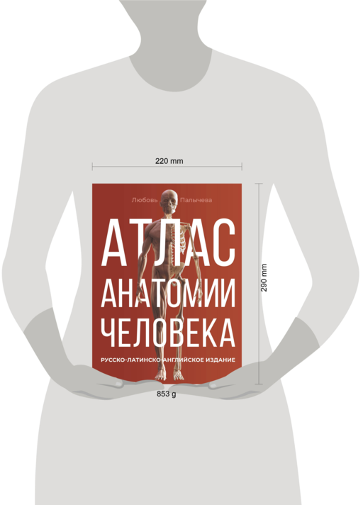 Атлас анатомии человека. Русско-латинско-английское издание
