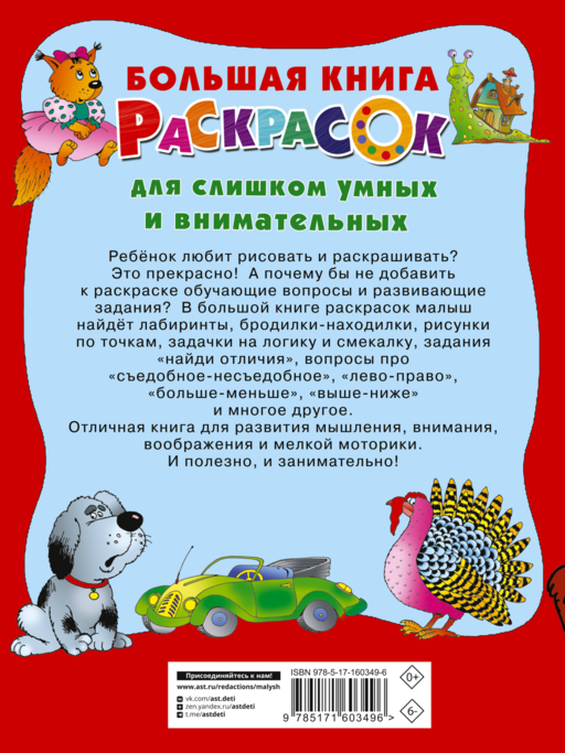 Большая книга раскрасок для слишком умных и внимательных