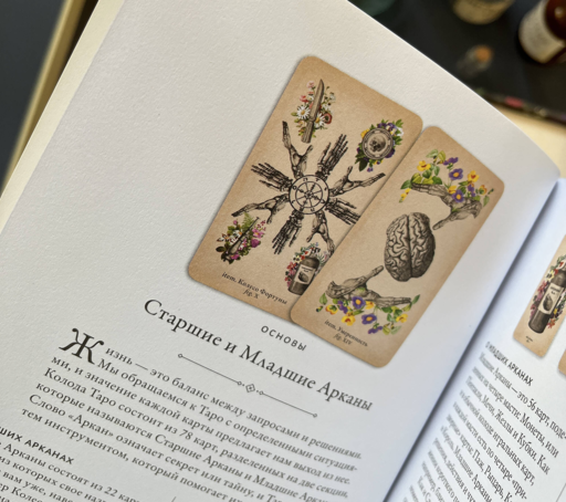 Antique Anatomy Tarot. Таро античной анатомии