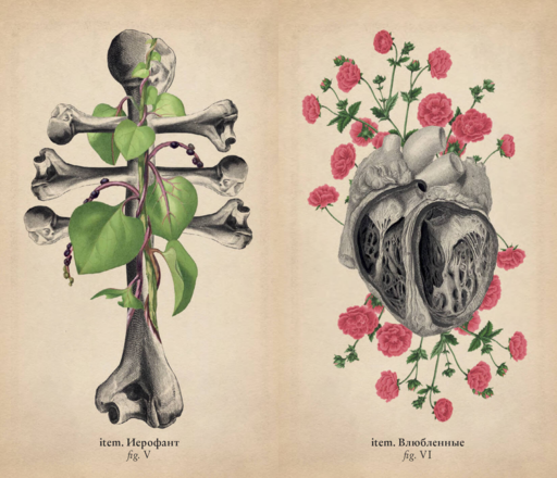 Antique Anatomy Tarot. Таро античной анатомии