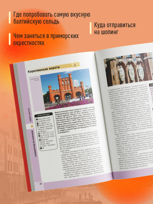 Калининград и окрестности 6-е изд., испр. и доп.
