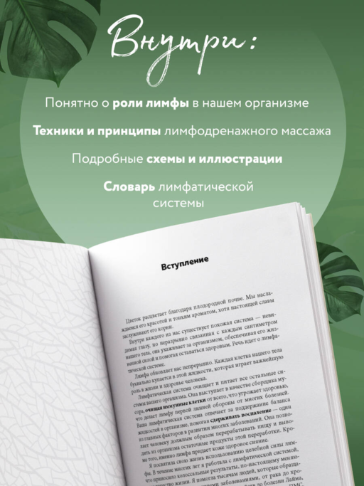 Живая лимфа. Техники лимфодренажного самомассажа для укрепления иммунитета и всех систем организма