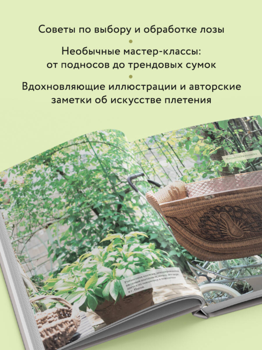 Плетение из лозы. 150 японских техник. Основы, техники, узоры, мастер-классы