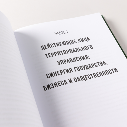 Гений места. Как альянс власти, бизнеса и сообщества меняет города