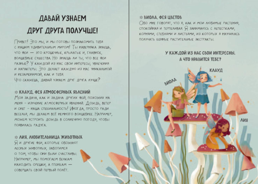 Волшебный подарок Феи