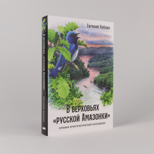 В верховьях «русской Амазонки»: Хроники орнитологической экспедиции