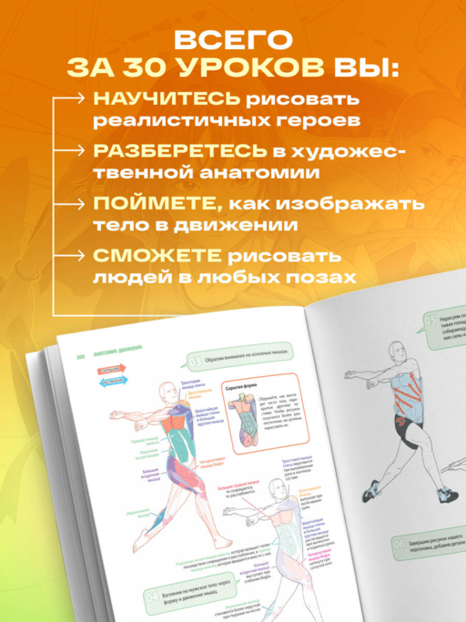 Анатомия движения. Полное руководство по рисованию тела человека для начинающих