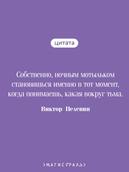 Жизнь насекомых