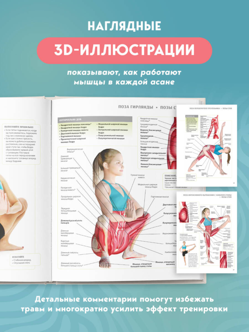 Анатомия йоги. 50 главных асан с анатомическими иллюстрациями, для начинающих и продвинутых