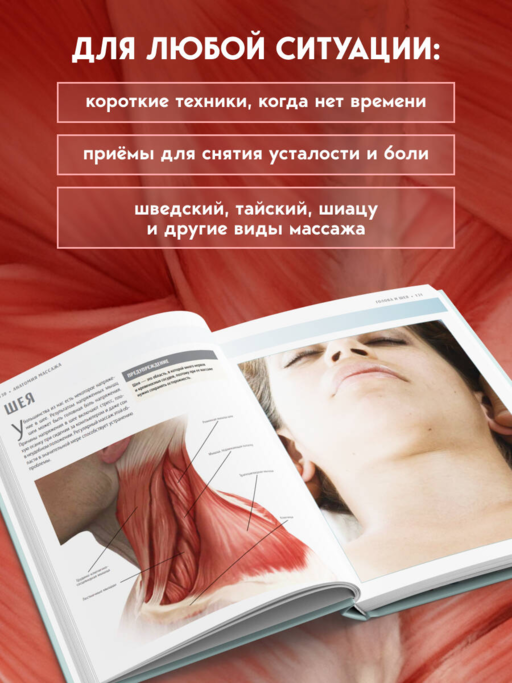 Анатомия массажа. Основы массажа нижней и верхней части тела с анатомическими иллюстрациями