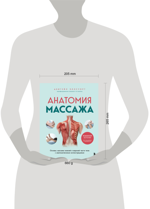 Анатомия массажа. Основы массажа нижней и верхней части тела с анатомическими иллюстрациями