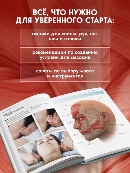 Анатомия массажа. Основы массажа нижней и верхней части тела с анатомическими иллюстрациями