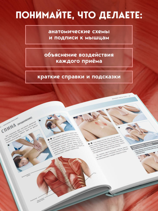 Анатомия массажа. Основы массажа нижней и верхней части тела с анатомическими иллюстрациями