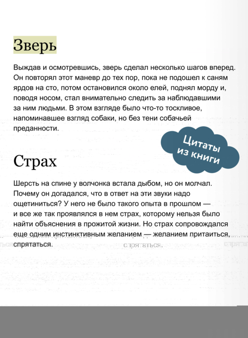 Белый клык. Вечные истории. Young Adult