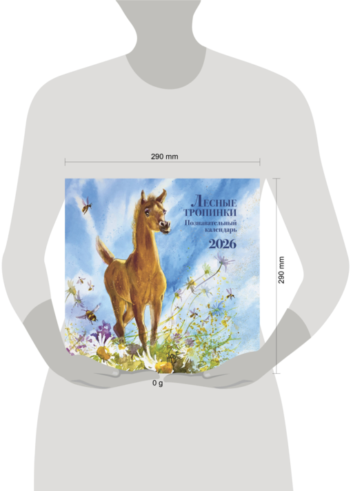 Познавательный календарь. Лесные тропинки. 2026
