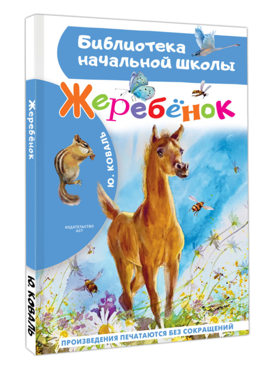 Жеребенок