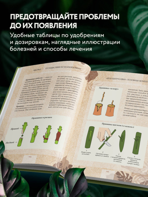Зеленая комната. Как стать повелителем домашних джунглей