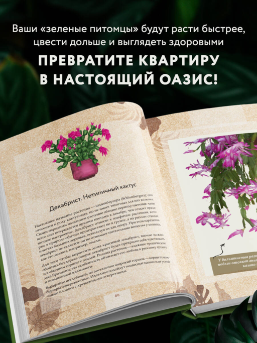 Зеленая комната. Как стать повелителем домашних джунглей