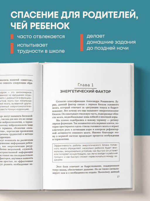 Мозг школьника. Советы и упражнения нейропсихолога для учебы без стресса и слез
