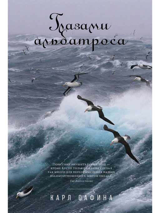 Глазами альбатроса
