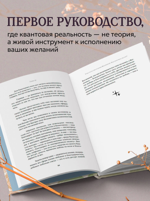 Можно все, или Как создавать желаемое. Квантовые практики достижения успеха