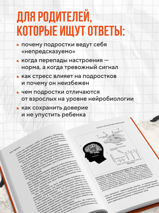 Мозг подростка. Спасительные рекомендации нейробиолога для родителей тинейджеров (обновленное издание)